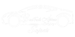 Bontrek Safaris