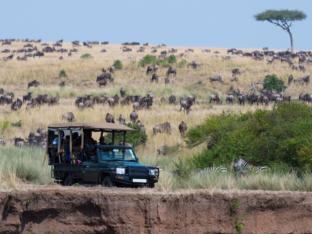 maasai-mara