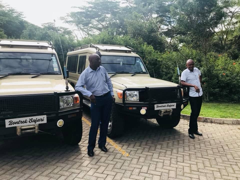 Tour and Game Drives